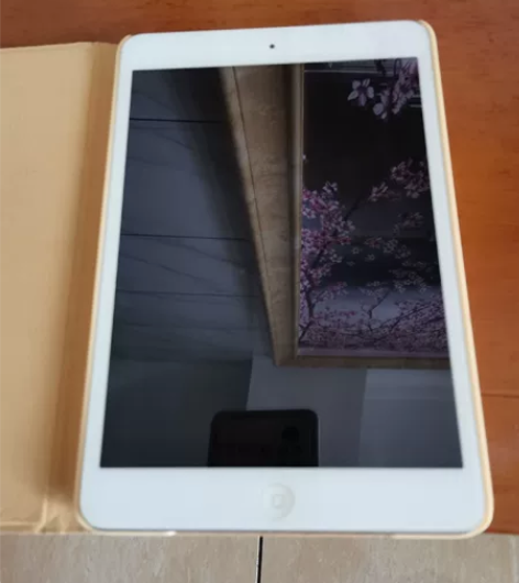 iPad mini2 WIFI版，自己用的...