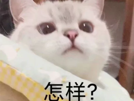 Polaroid/宝丽来 OneStep2...