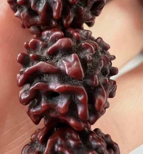 老金刚菩提，纯手工盘。14颗  感兴趣的话...
