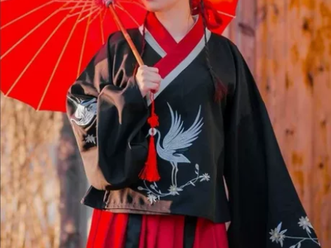 千韵岗原创 与鹤游 明制交领琵琶袖袄裙汉服...