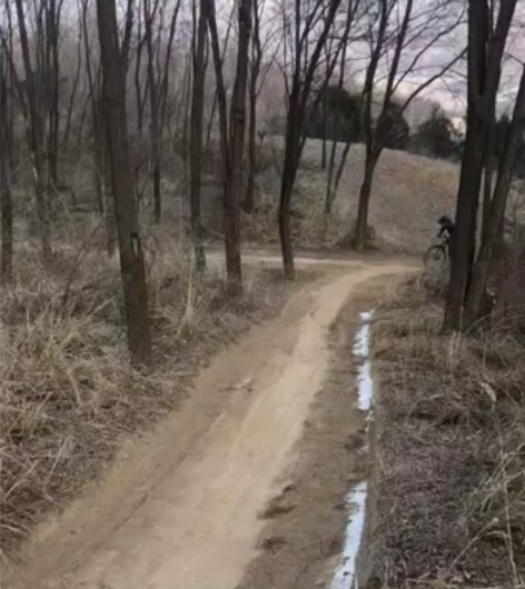 XDS 喜德盛侠客900 L码 马古拉mt...