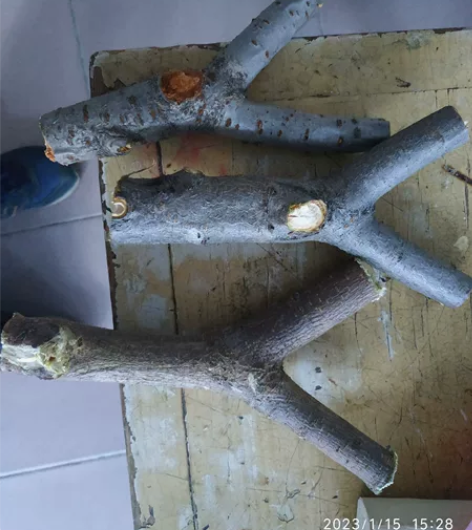 弹弓，售出不退不换。 感兴趣的话点“我想要...
