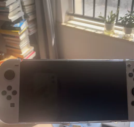 switch oled版本 64G内存。充...