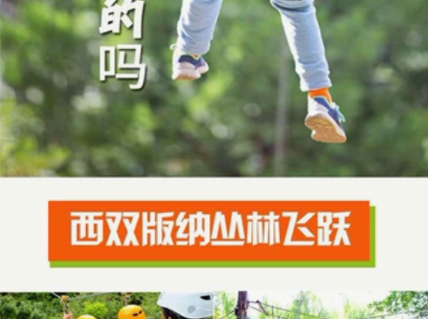 西双版纳原始森林公园丛林飞跃A段套票，森林...
