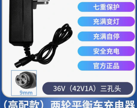 两轮电动平衡车充电线36V锂电池42v阿尔...