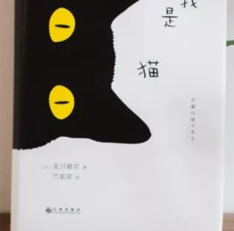 我是猫 日夏目漱石 著 竺家荣 译 外国文...