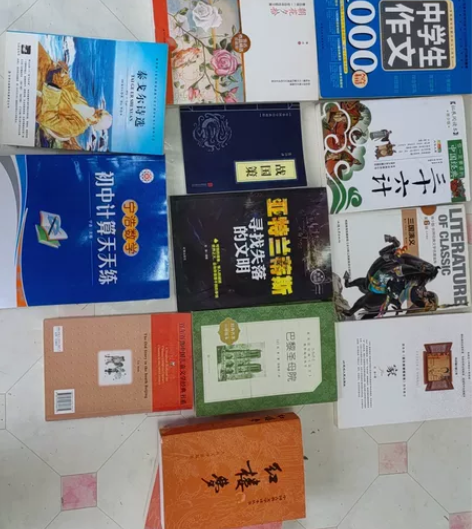 散书二手书，不是书fz，都是自己以前在书店...