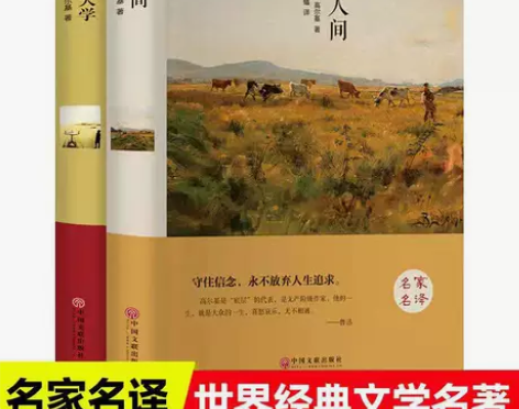 世界经典文学名著名家名译 我的大学 在人间...