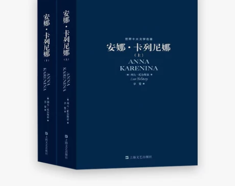 安娜卡列尼娜 草婴译 正版书 经典原著无