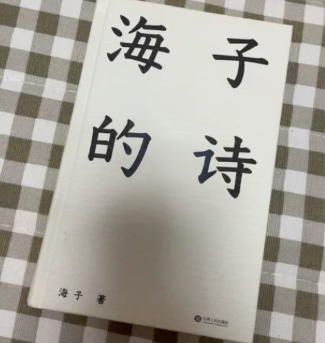 海子的诗。95成新。 感兴趣的话点“我想要...