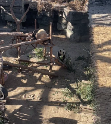 纯自用苹果12电池90国行256G， 北京...