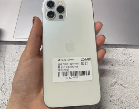 苹果12pro银白色256g国行双卡全网通...