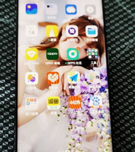 OPPO OPPO Reno5 Pro+（...