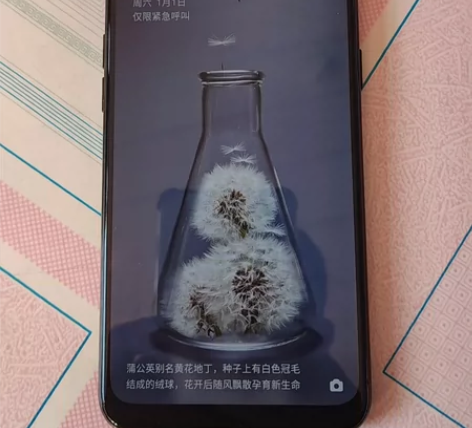 OPPO A8 4+64G内存 出裸机 无...