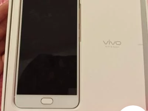 vivo X20全新手机 64G内存全网通...