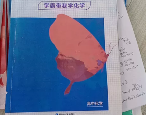 延边大学出版社！化学知识点高中的，总复习买...