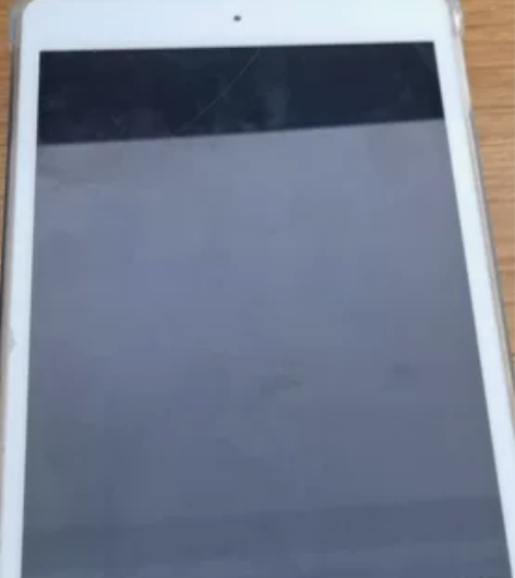 出自用iPadmini5（2019款），机...