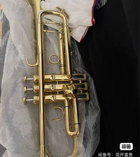 巴哈小号 全新 客户不想要了直接拒收的 配...