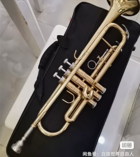 小号乐器一支，英文牌子看不懂，自定成色那鸡...