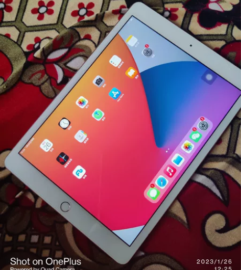 个人用ipad2019款，32内存，金色，...