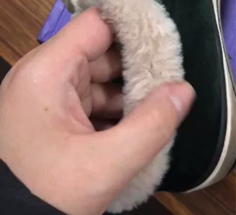 加绒低帮帆布鞋,很暖和。36码 感兴趣的话...