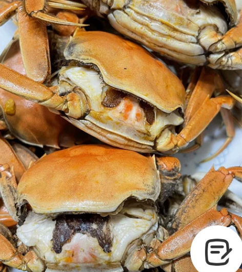 盘锦河蟹，盘锦稻田蟹，父母自己养的稻田河蟹...