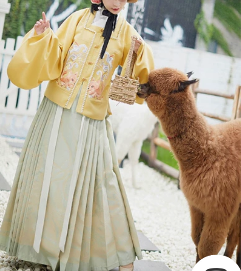 都城南庄汉服小狐狸短袄马面裙原创正品明制汉...