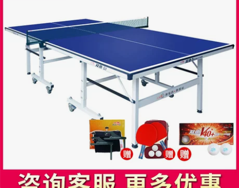 双鱼儿童乒乓球桌儿启星E1/Q1 家用室内...