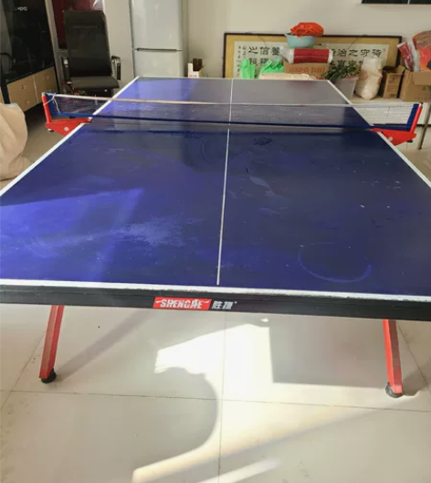 胜捷品牌乒乓球台 买给给家里孩子练习 后来...