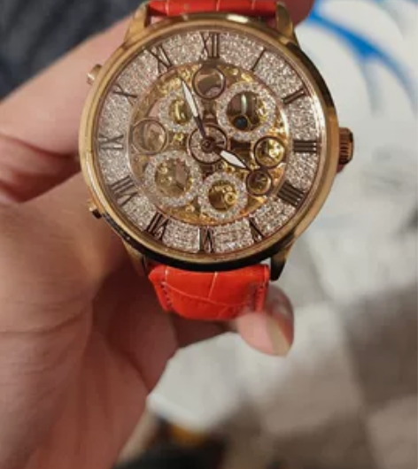 正品蒂玮娜davena轻奢小众手表女机械表...