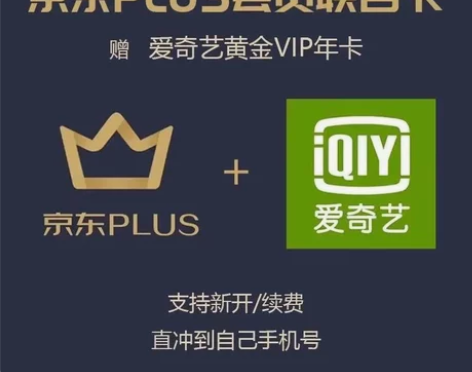 [限时活动]爱奇艺+京东plus联合会员年...