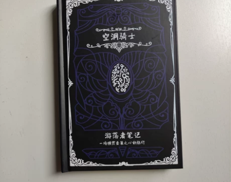 空洞骑士 游荡者笔记/漫游者日志(空洞骑士...