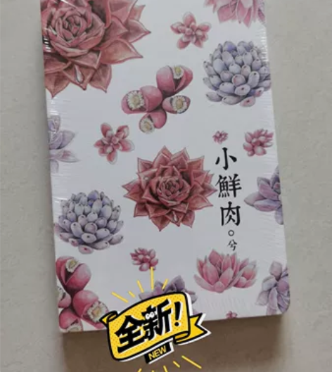笔记本  文艺插画笔记本小清新日记本插图创...