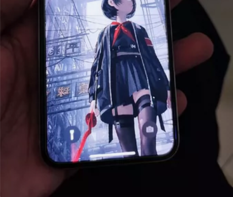 国行iPhonex 64G 全网通 这个手...