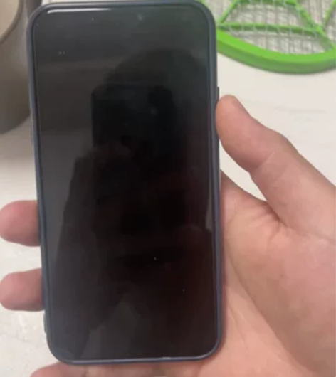 iPhonex 日版无锁银色256 面容指...