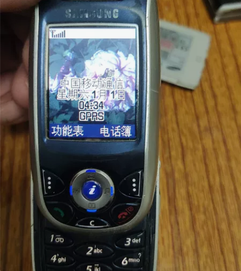 Samsung/三星e800 开机显示正常...