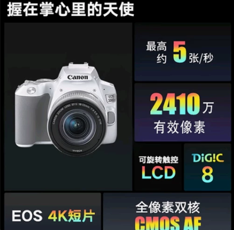 佳能（Canon）EOS 200D II ...