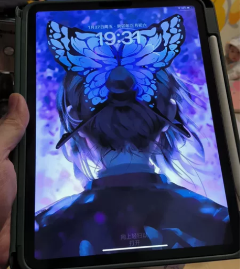 大吉大利,买既赚到!国行ipadpro20...