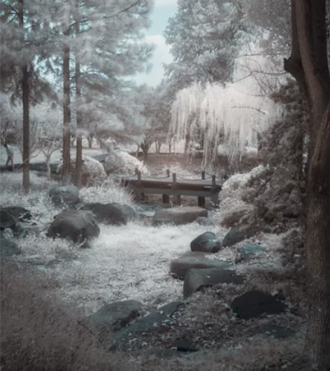 佳能单反40d改红外720 功能全好   ...