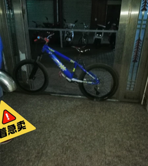 变速自行车 3 7档 爆改 感兴...