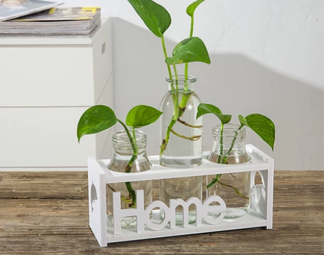 创意水培小花瓶透明玻璃水养绿萝植物花盆桌面...