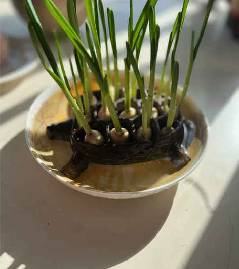 插花用 铁制乌龟造型（也有绿锈）古朴有趣无...
