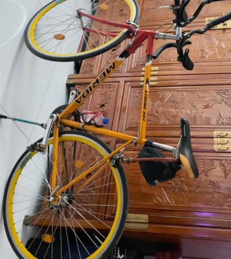 美利达极速903款公路赛车，自己装了辅把用...