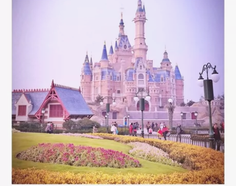 1.31日迪士尼早鸟票两张 携程上买的上海...