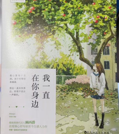 我一直在你身边 顾西爵 青春文学 感兴趣的...
