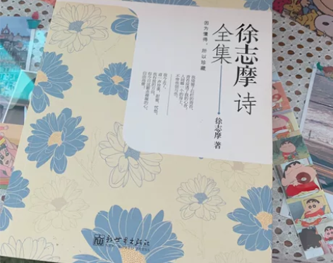 徐志摩 诗集全集 感兴趣的话点“我想要”和...