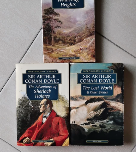 平装英文小说:福尔摩斯,失落的世界(柯南道...