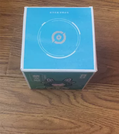王者荣耀 手办 蔡文姬 全新 配套的所有东...