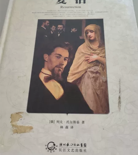 《巴黎圣母院》，《名人传》，《复活》等有的...