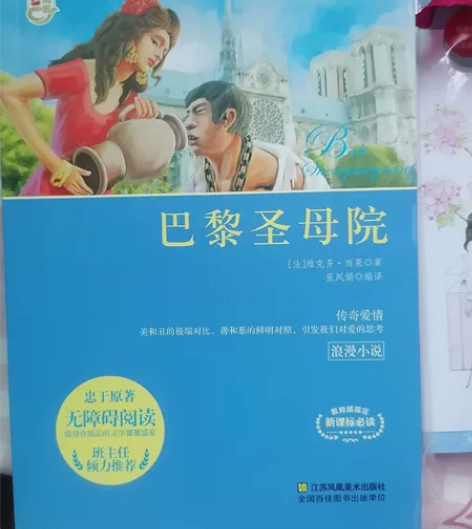 巴黎圣母院，小学六年级买的没看过，就是在书...